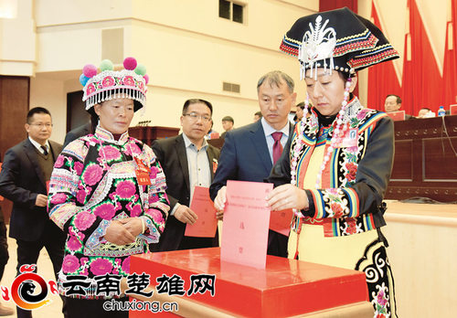 选举1_副本 选举1_副本