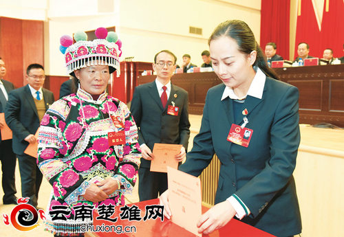 选举_副本 选举_副本